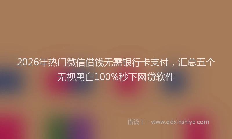 2026年热门微信借钱无需银行卡支付，汇总五个无视黑白100%秒下网贷软件