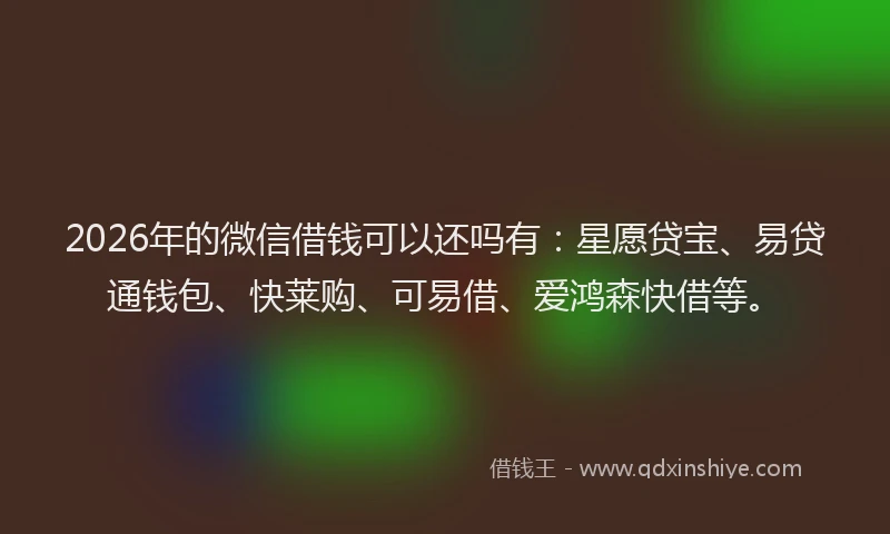 2026年的微信借钱可以还吗有：星愿贷宝、易贷通钱包、快莱购、可易借、爱鸿森快借等。
