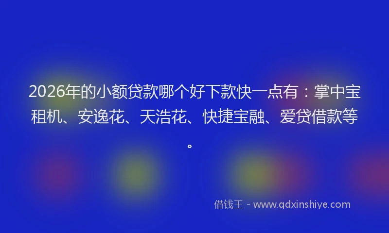 2026年的小额贷款哪个好下款快一点有：掌中宝租机、安逸花、天浩花、快捷宝融、爱贷借款等。