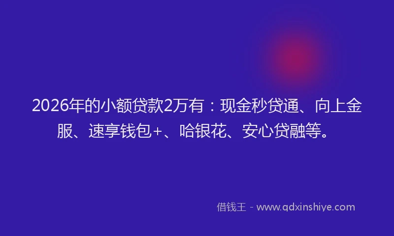 2026年的小额贷款2万有：现金秒贷通、向上金服、速享钱包+、哈银花、安心贷融等。