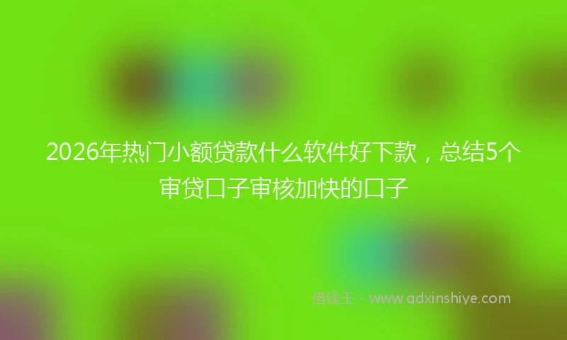 2026年热门小额贷款什么软件好下款，总结5个审贷口子审核加快的口子
