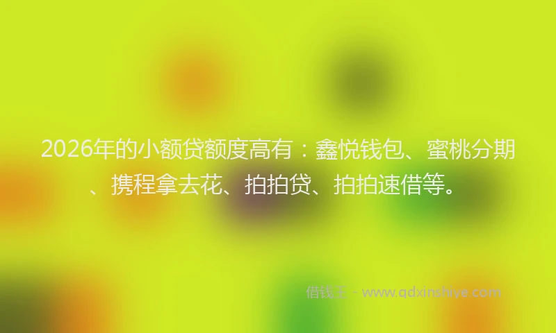 2026年的小额贷额度高有：鑫悦钱包、蜜桃分期、携程拿去花、拍拍贷、拍拍速借等。