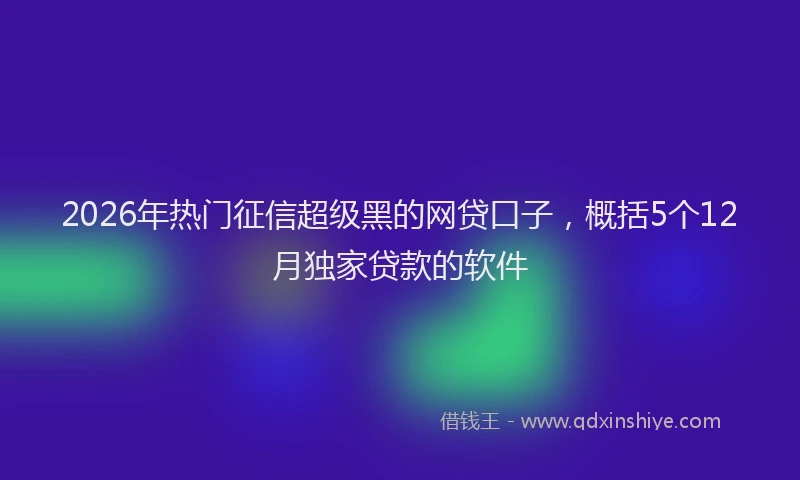 2026年热门征信超级黑的网贷口子，概括5个12月独家贷款的软件