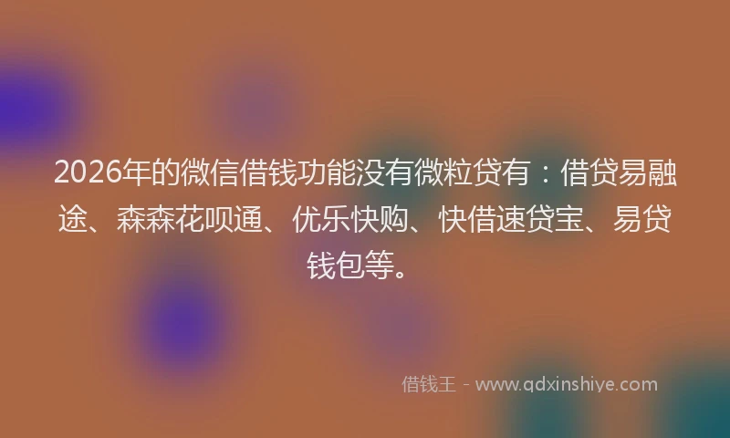 2026年的微信借钱功能没有微粒贷有：借贷易融途、森森花呗通、优乐快购、快借速贷宝、易贷钱包等。