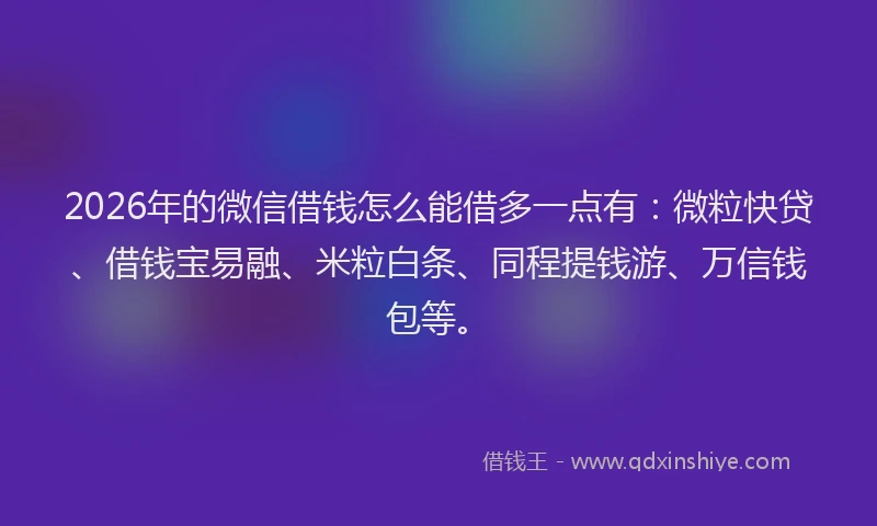 2026年的微信借钱怎么能借多一点有：微粒快贷、借钱宝易融、米粒白条、同程提钱游、万信钱包等。