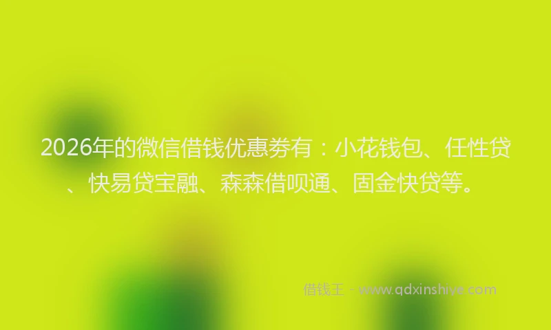 2026年的微信借钱优惠劵有：小花钱包、任性贷、快易贷宝融、森森借呗通、固金快贷等。