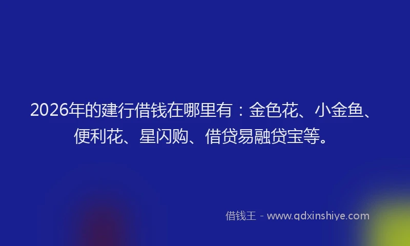2026年的建行借钱在哪里有:金色花、小金鱼、便利花、星闪购、借贷易融贷宝等。