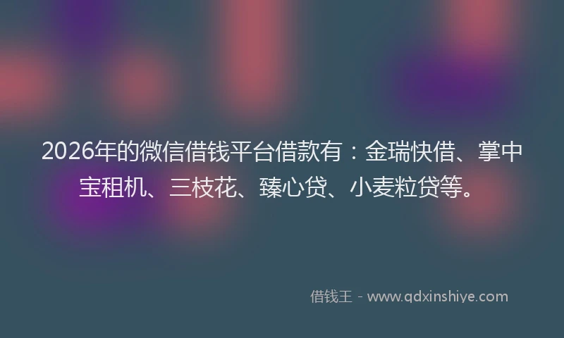 2026年的微信借钱平台借款有：金瑞快借、掌中宝租机、三枝花、臻心贷、小麦粒贷等。