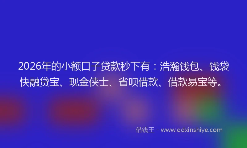 2026年的小额口子贷款秒下有：浩瀚钱包、钱袋快融贷宝、现金侠士、省呗借款、借款易宝等。