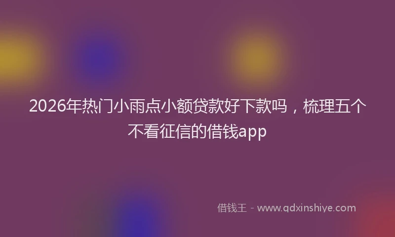 2026年热门小雨点小额贷款好下款吗，梳理五个不看征信的借钱app