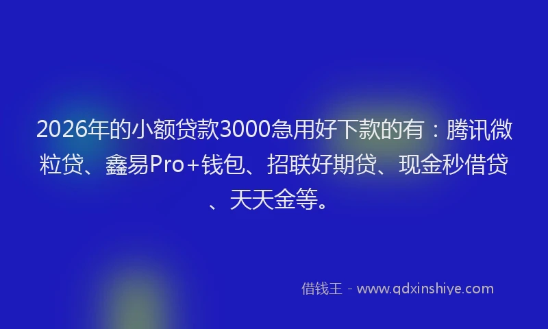 2026年的小额贷款3000急用好下款的有：腾讯微粒贷、鑫易Pro+钱包、招联好期贷、现金秒借贷、天天金等。