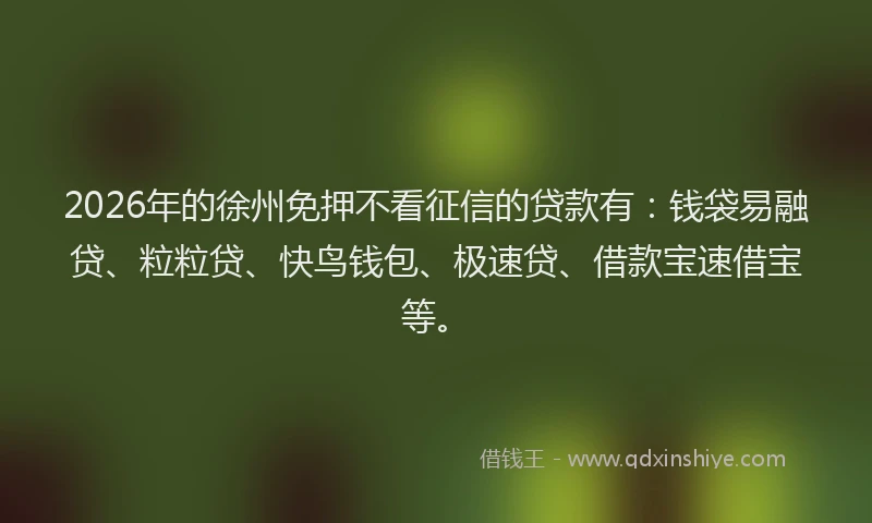 2026年的徐州免押不看征信的贷款有：钱袋易融贷、粒粒贷、快鸟钱包、极速贷、借款宝速借宝等。