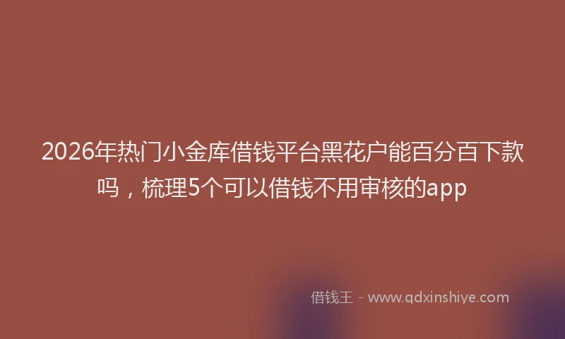 2026年热门小金库借钱平台黑花户能百分百下款吗，梳理5个可以借钱不用审核的app