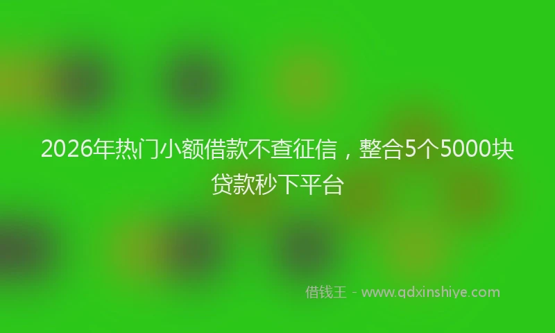 2026年热门小额借款不查征信,整合5个5000块贷款秒下平台