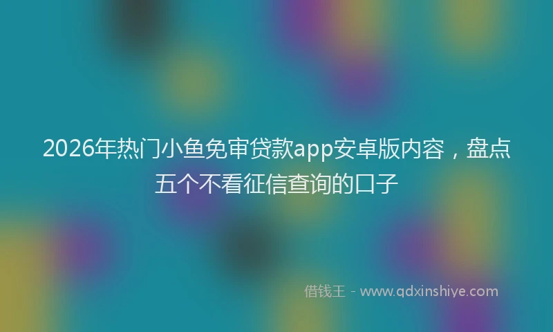 2026年热门小鱼免审贷款app安卓版内容，盘点五个不看征信查询的口子