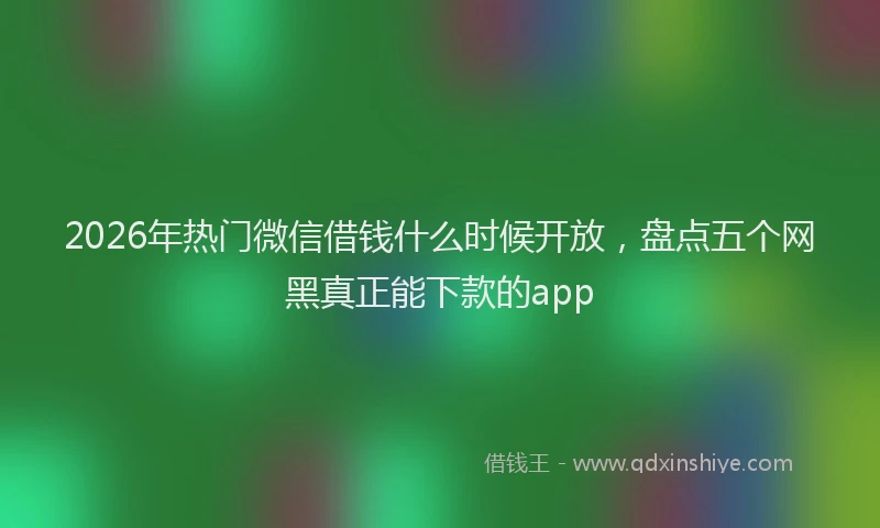 2026年热门微信借钱什么时候开放，盘点五个网黑真正能下款的app