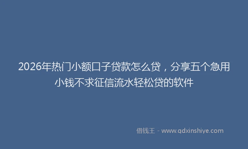 2026年热门小额口子贷款怎么贷，分享五个急用小钱不求征信流水轻松贷的软件
