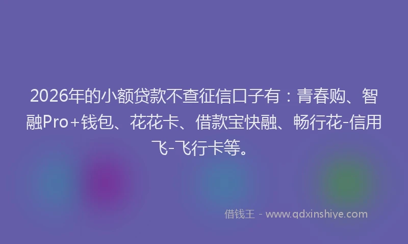 2026年的小额贷款不查征信口子有：青春购、智融Pro+钱包、花花卡、借款宝快融、畅行花-信用飞-飞行卡等。