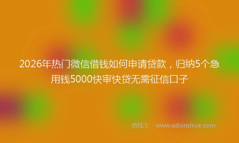 2026年热门微信借钱如何申请贷款，归纳5个急用钱5000快审快贷无需征信口子