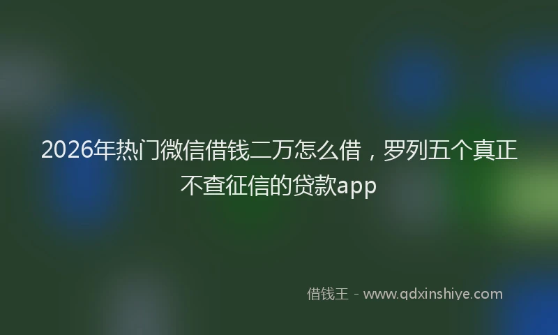 2026年热门微信借钱二万怎么借，罗列五个真正不查征信的贷款app