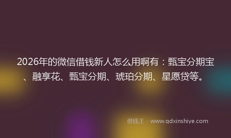 2026年的微信借钱新人怎么用啊有：甄宝分期宝、融享花、甄宝分期、琥珀分期、星愿贷等。