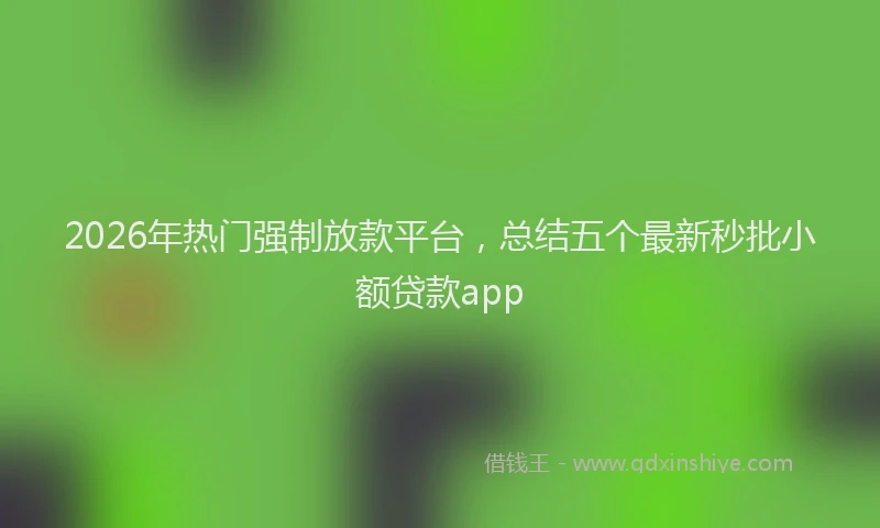 2026年热门强制放款平台，总结五个最新秒批小额贷款app