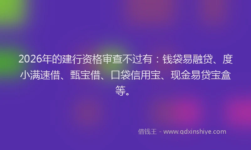 2026年的建行资格审查不过有：钱袋易融贷、度小满速借、甄宝借、口袋信用宝、现金易贷宝盒等。