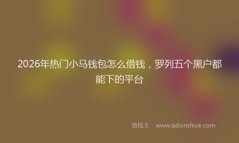 2026年热门小马钱包怎么借钱，罗列五个黑户都能下的平台
