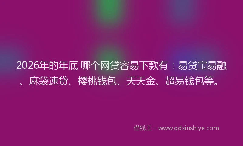 2026年的年底 哪个网贷容易下款有：易贷宝易融、麻袋速贷、樱桃钱包、天天金、超易钱包等。