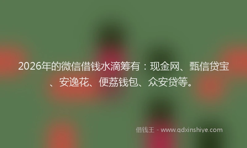 2026年的微信借钱水滴筹有：现金网、甄信贷宝、安逸花、便荔钱包、众安贷等。