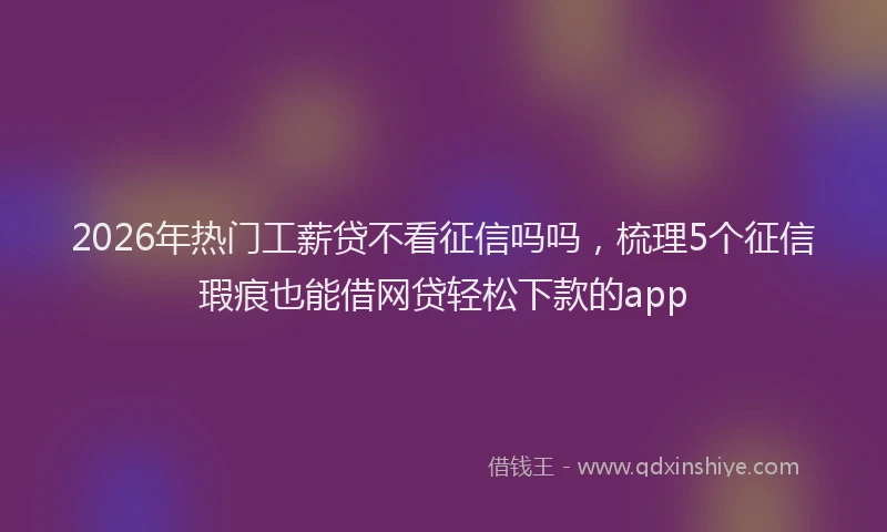 2026年热门工薪贷不看征信吗吗，梳理5个征信瑕疵也能借网贷轻松下款的app