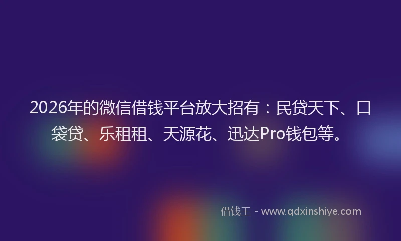2026年的微信借钱平台放大招有：民贷天下、口袋贷、乐租租、天源花、迅达Pro钱包等。