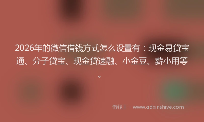 2026年的微信借钱方式怎么设置有：现金易贷宝通、分子贷宝、现金贷速融、小金豆、薪小用等。