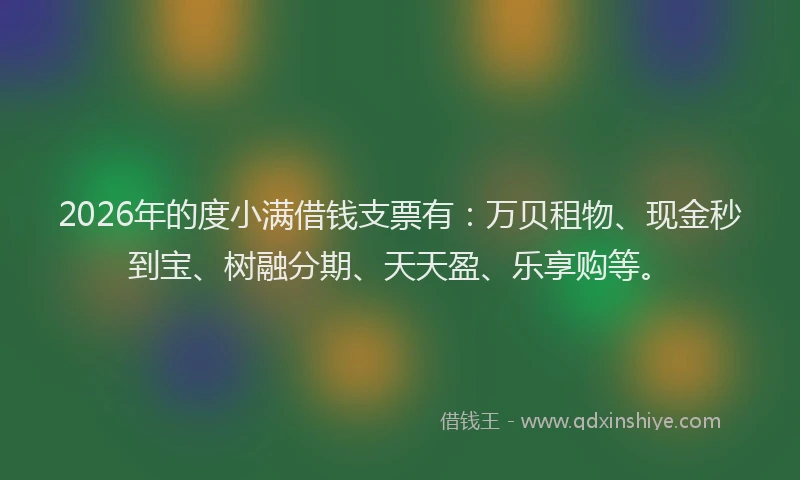 2026年的度小满借钱支票有：万贝租物、现金秒到宝、树融分期、天天盈、乐享购等。