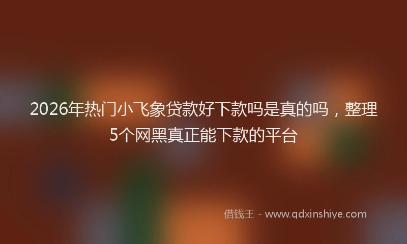 2026年热门小飞象贷款好下款吗是真的吗，整理5个网黑真正能下款的平台