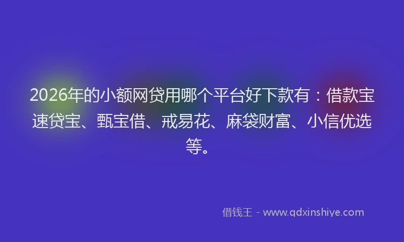 2026年的小额网贷用哪个平台好下款有：借款宝速贷宝、甄宝借、戒易花、麻袋财富、小信优选等。