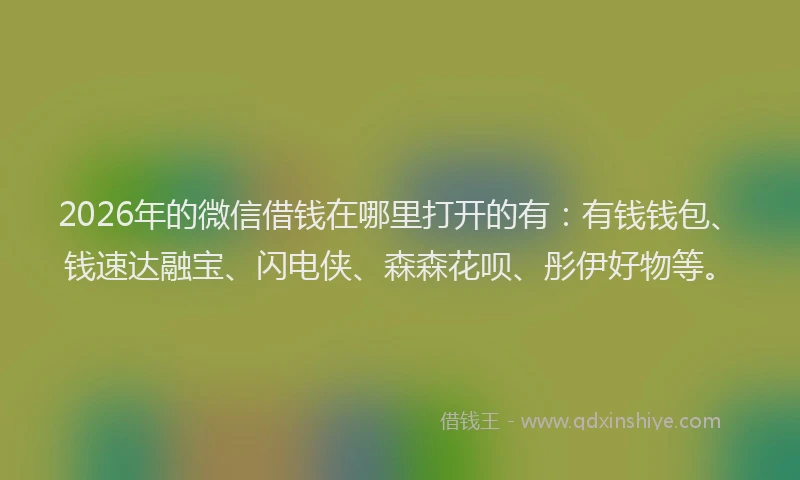 2026年的微信借钱在哪里打开的有：有钱钱包、钱速达融宝、闪电侠、森森花呗、彤伊好物等。