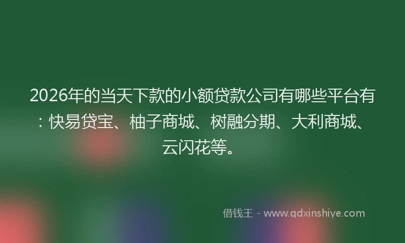 2026年的当天下款的小额贷款公司有哪些平台有：快易贷宝、柚子商城、树融分期、大利商城、云闪花等。