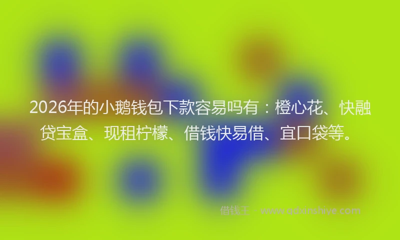 2026年的小鹅钱包下款容易吗有：橙心花、快融贷宝盒、现租柠檬、借钱快易借、宜口袋等。