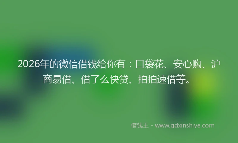 2026年的微信借钱给你有：口袋花、安心购、沪商易借、借了么快贷、拍拍速借等。