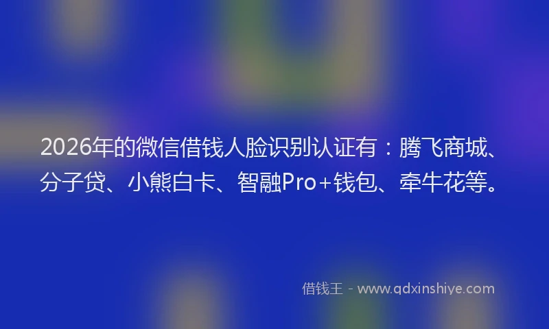 2026年的微信借钱人脸识别认证有：腾飞商城、分子贷、小熊白卡、智融Pro+钱包、牵牛花等。