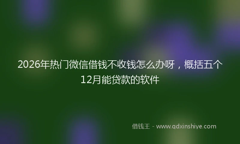 2026年热门微信借钱不收钱怎么办呀，概括五个12月能贷款的软件