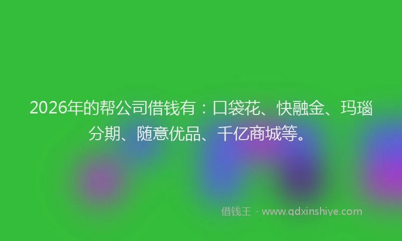 2026年的帮公司借钱有：口袋花、快融金、玛瑙分期、随意优品、千亿商城等。