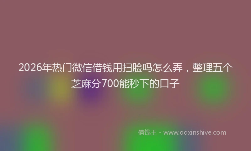 2026年热门微信借钱用扫脸吗怎么弄,整理五个芝麻分700能秒下的口子