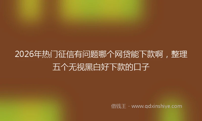 2026年热门征信有问题哪个网贷能下款啊，整理五个无视黑白好下款的口子