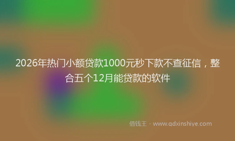 2026年热门小额贷款1000元秒下款不查征信，整合五个12月能贷款的软件