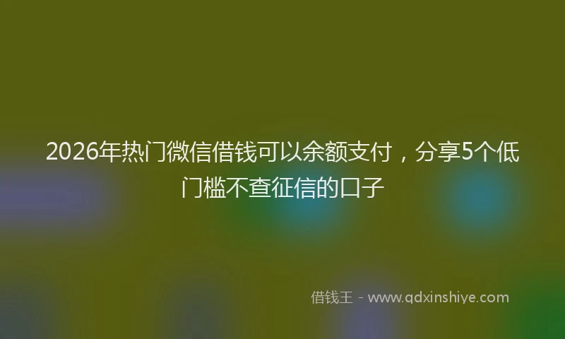 2026年热门微信借钱可以余额支付，分享5个低门槛不查征信的口子
