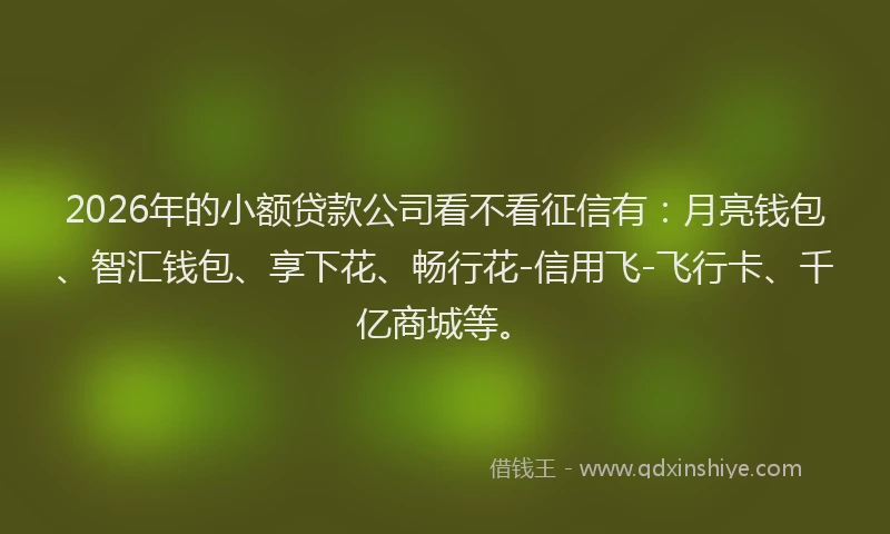 2026年的小额贷款公司看不看征信有：月亮钱包、智汇钱包、享下花、畅行花-信用飞-飞行卡、千亿商城等。