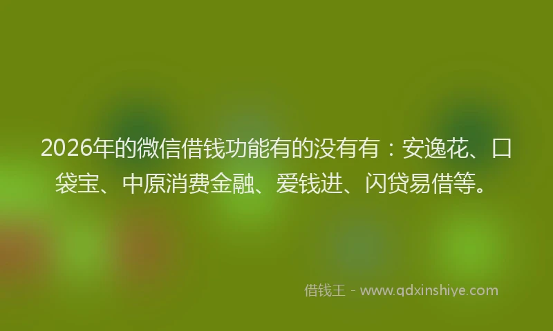 2026年的微信借钱功能有的没有有：安逸花、口袋宝、中原消费金融、爱钱进、闪贷易借等。