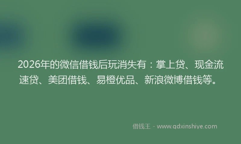 2026年的微信借钱后玩消失有：掌上贷、现金流速贷、美团借钱、易橙优品、新浪微博借钱等。